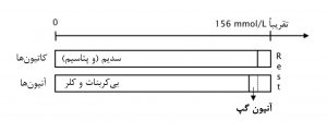 آنیون گپ