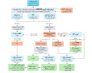 اپروچ به سکته مغزی