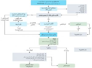 اپروچ به پارگی مری