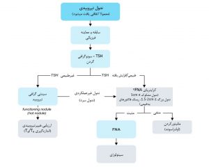 اپروچ تشخیصی به ندولهای تیروئیدی