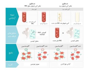 مقایسه کومبس مستقیم و غیرمستقیم
