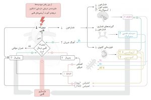پاتوفیزیولوژی نارسایی احتقانی قلب