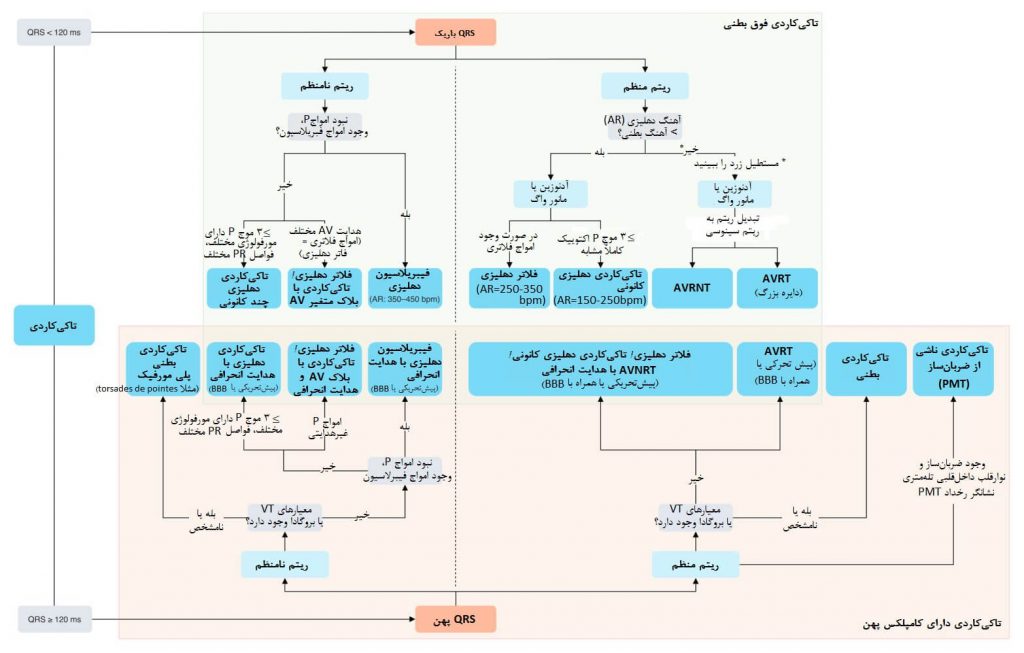 افتراق انواع تاکیکاردی