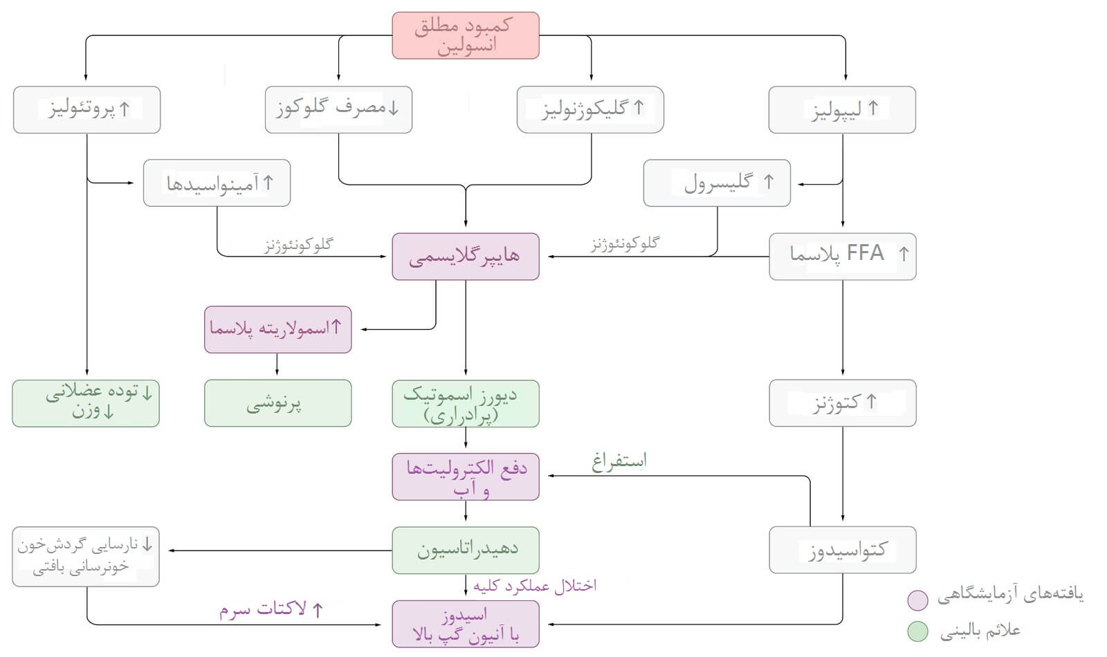 مشکلات ناشی از کمبود انسولین