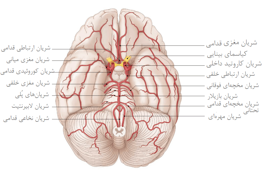 حونرسانی شریانی مغز