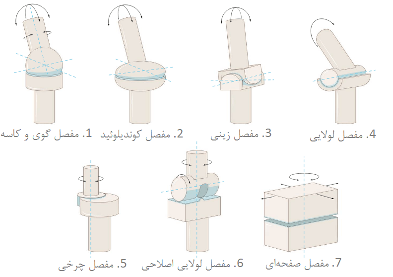 انواع مفاصل سینوویال